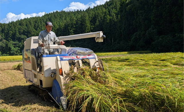 寺泊山田地区コシヒカリ
